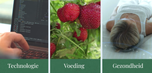 tfh holland sectoren